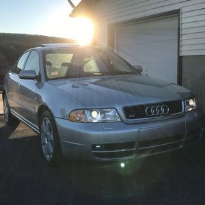 Meet your Posher, Dillon